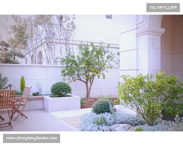 静谧庭院的独特魅力探索:打造心灵栖息地的艺术与哲学 静谧庭院的独特魅力探索:打造心灵栖息地的艺术与哲学