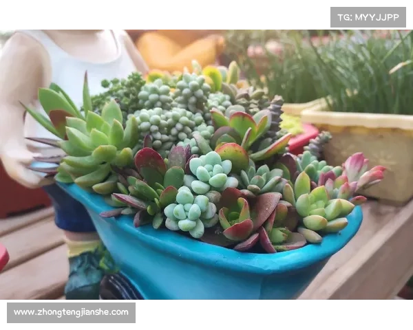 《掌握王权2修改器的高效使用技巧与功能解析》 《掌握王权2修改器的高效使用技巧与功能解析》