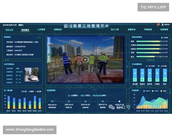 艾维娜面临的挑战与应对策略探讨：可持续发展路径的探索与实践