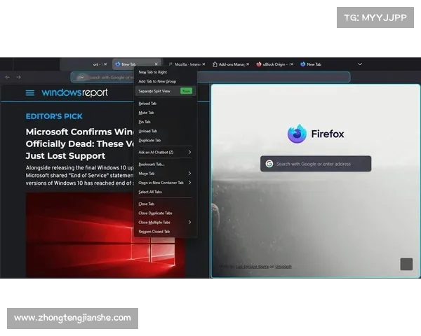 全面解析火狐浏览器最新功能升级带来的全新上网体验与实用技巧