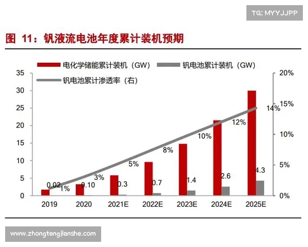全面掌握澳洲杯2023全年赛事安排与观赛亮点策略深度权威全景指南版