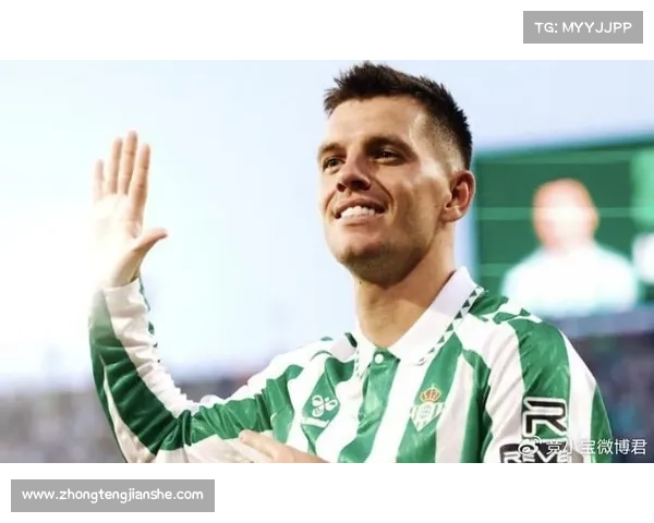 如何全面分析洛塞尔索在比赛中的表现与贡献